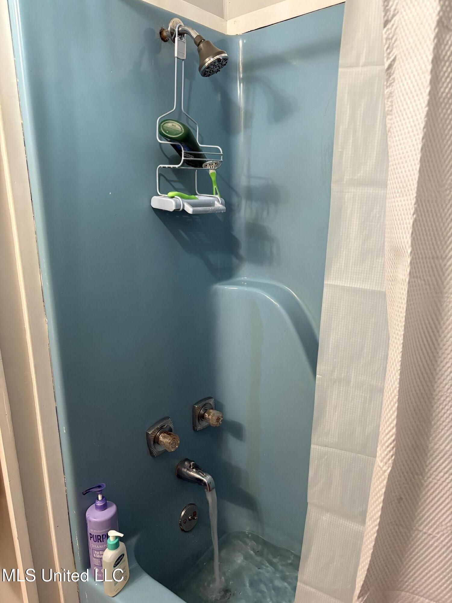 722 Holmesville Road Jayess, MS 39641 - Photo 30 of 47 bath master shower tub