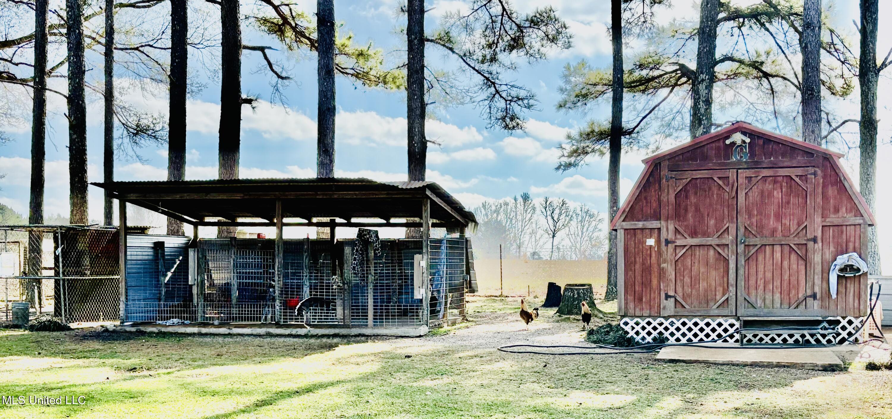 722 Holmesville Road Jayess, MS 39641 - Photo 41 of 47 kennel pens 2