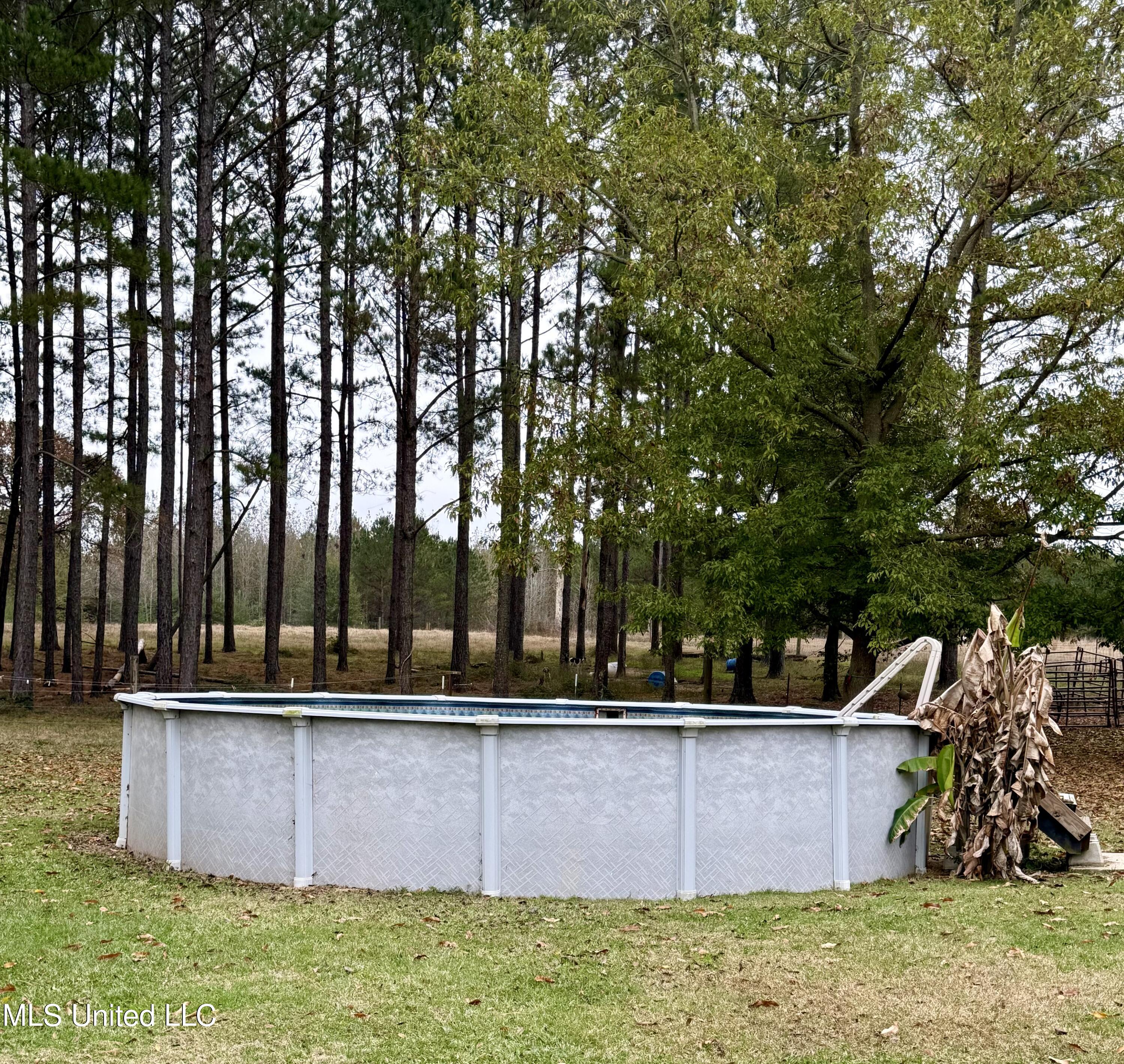722 Holmesville Road Jayess, MS 39641 - Photo 44 of 47 pool 2