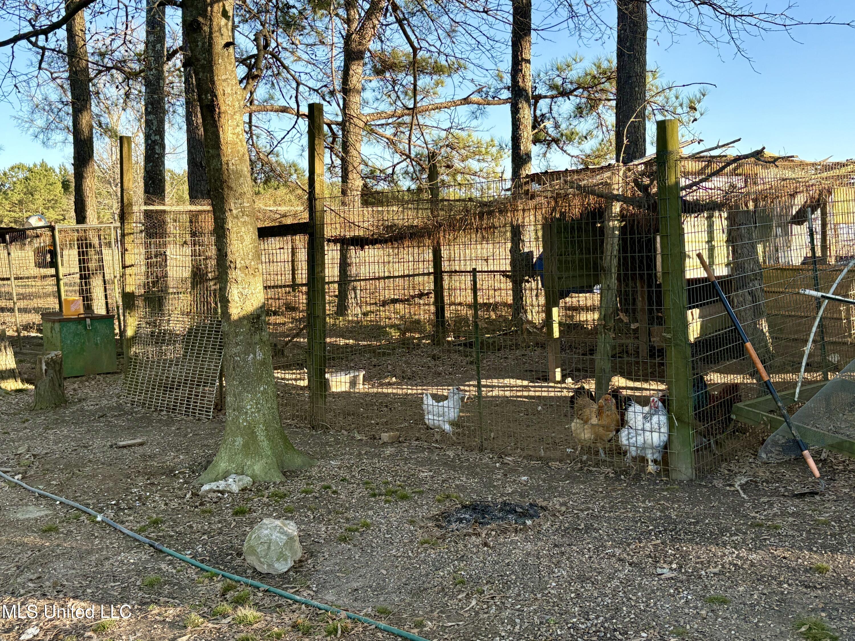 722 Holmesville Road Jayess, MS 39641 - Photo 46 of 47 Chicken pen