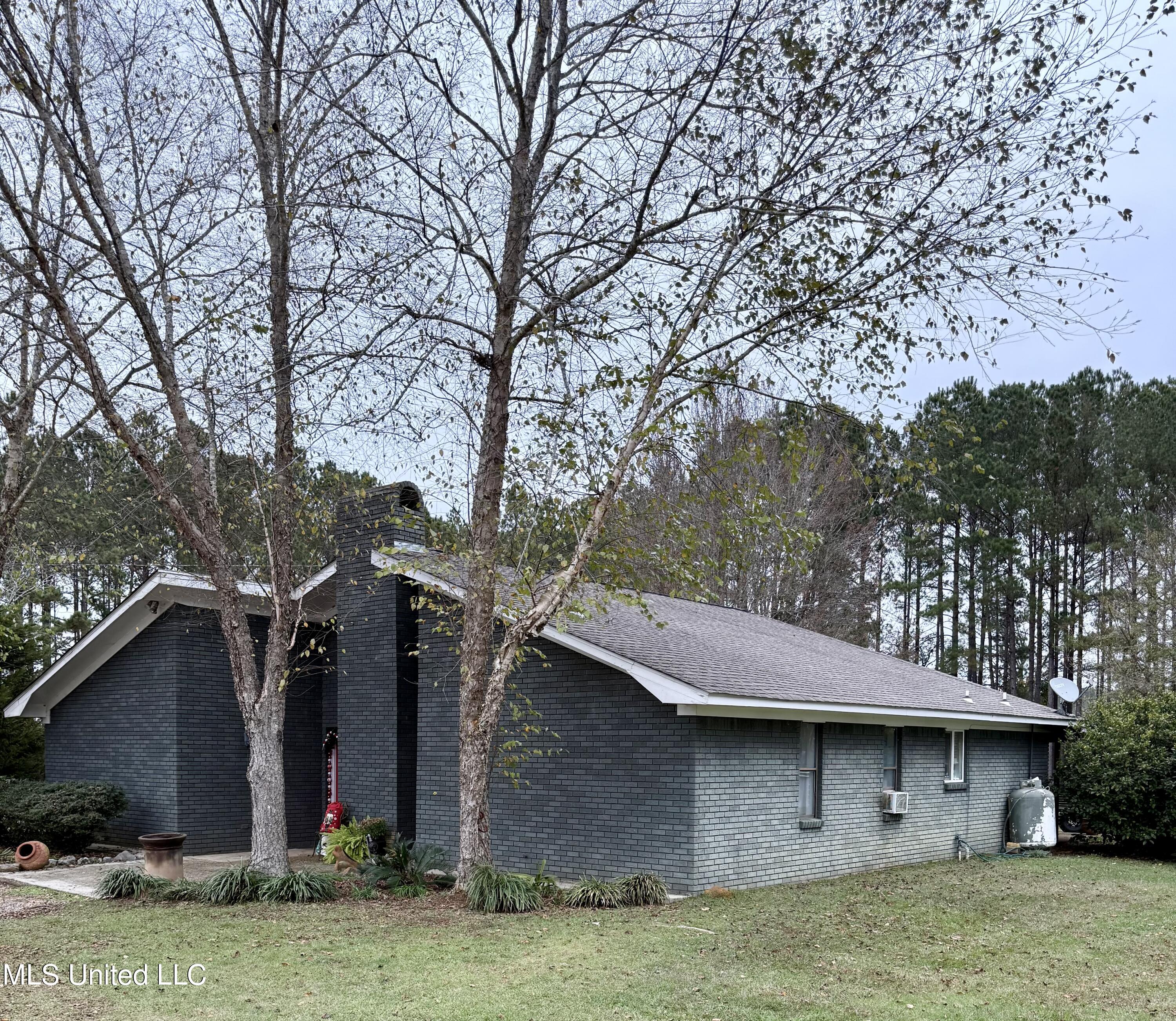 722 Holmesville Road Jayess, MS 39641 - Photo 7 of 47 front house East side