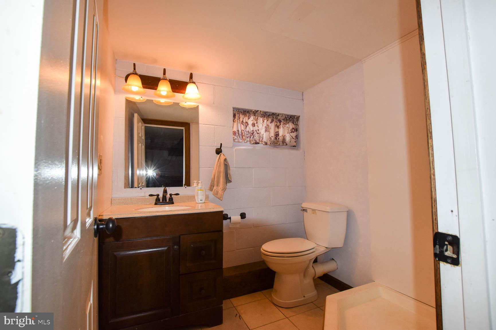 13147 Indian Springs Road Big Pool, MD 21711 - Photo 55 of 120 Lower level bathroom