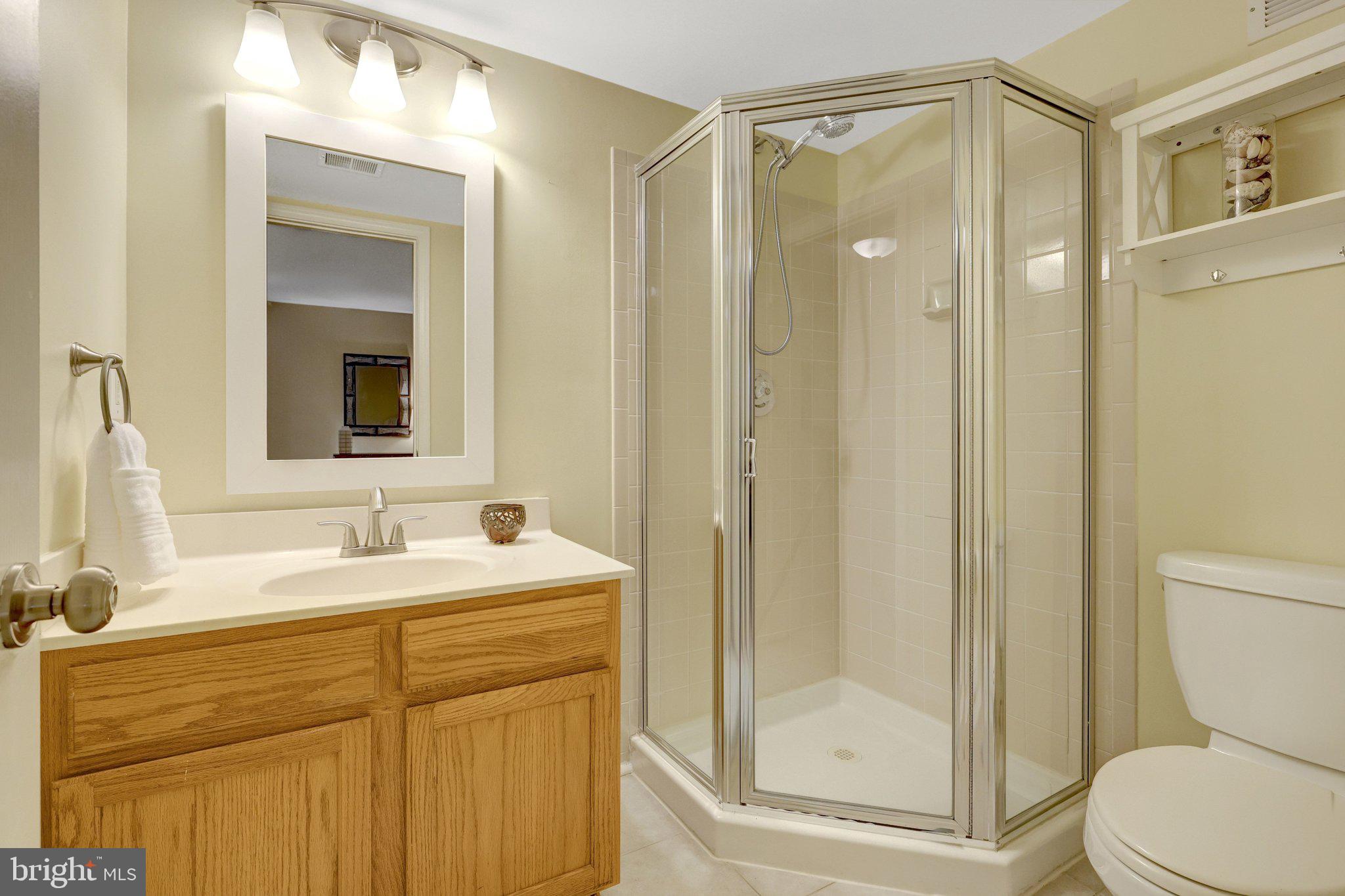 1224 Wild Hawthorn Way Reston, VA 20194 - Photo 42 of 71 Lower Level Full Bath 3