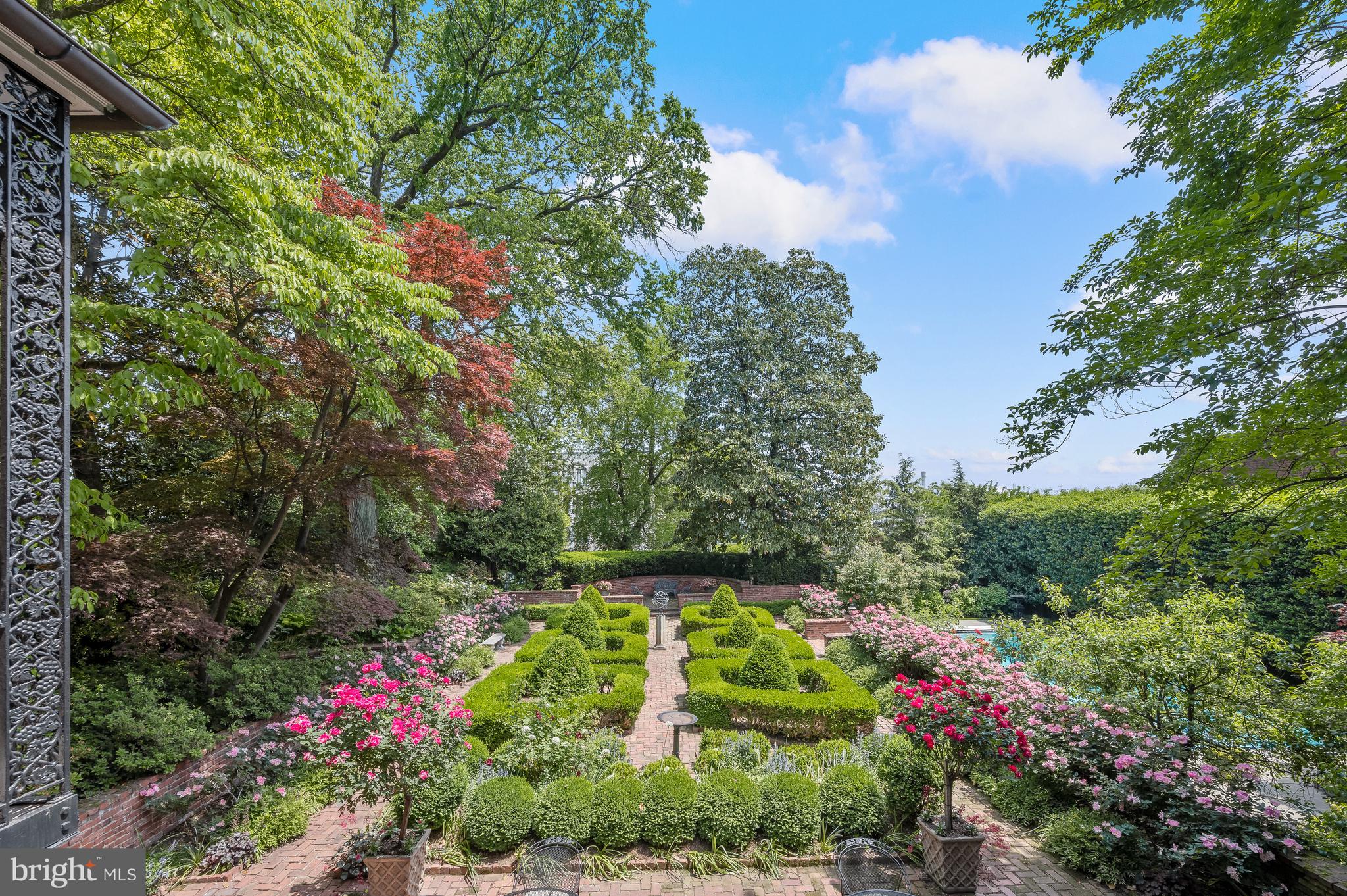 3508 Prospect Street Northwest Washington, DC 20007 - Photo 26 of 39 a view of a flower in a garden