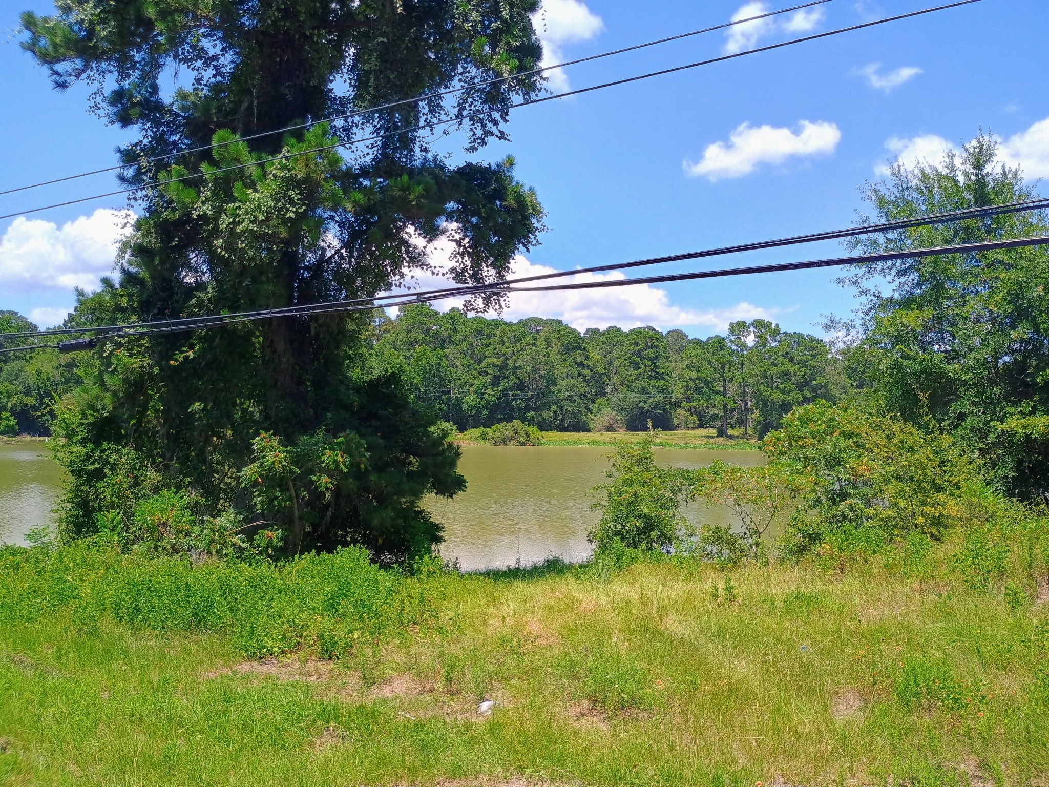0 Port Boulevard Trinity, TX 75862 - Photo 2 of 10 Close proximity to the Trinity River.