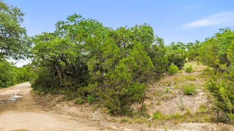 a view of a yard with plants and tree