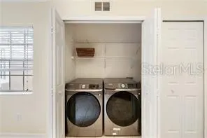 a flower plants in front of a door