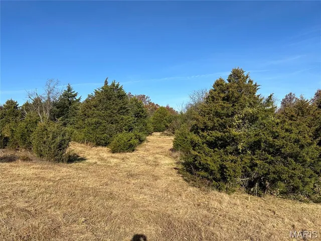 $118,650 | 1 A Audrain Road 935, Mexico, MO 65265