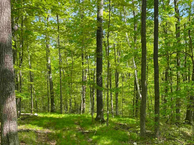 $99,900 | 16245 Highway 27, Hayward, WI 54843