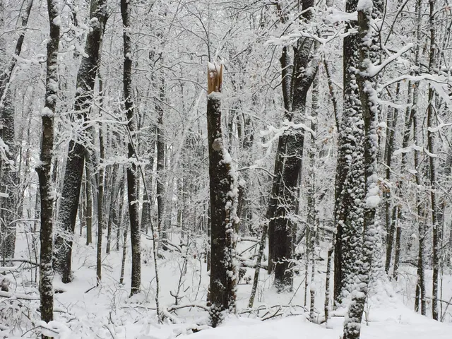 $99,900 | 16245 Highway 27, Hayward, WI 54843