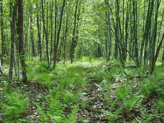 $99,900 | 16245 Highway 27, Hayward, WI 54843