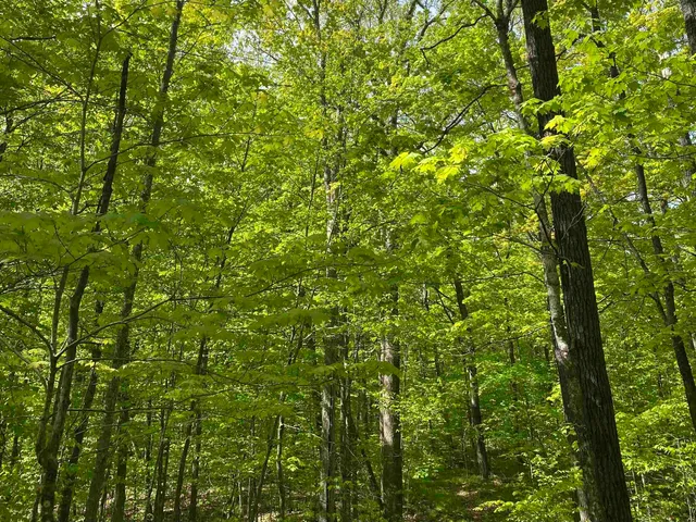 $99,900 | 16245 Highway 27, Hayward, WI 54843