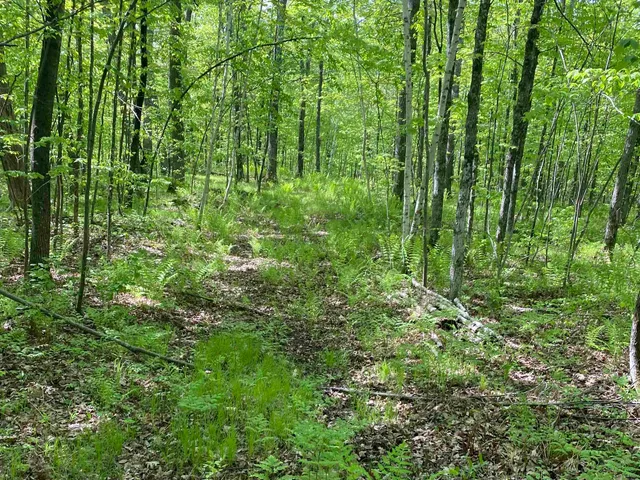 $99,900 | 16245 Highway 27, Hayward, WI 54843