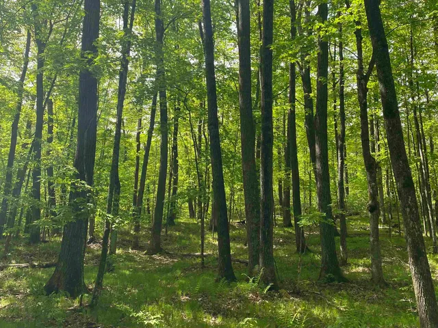 $99,900 | 16245 Highway 27, Hayward, WI 54843