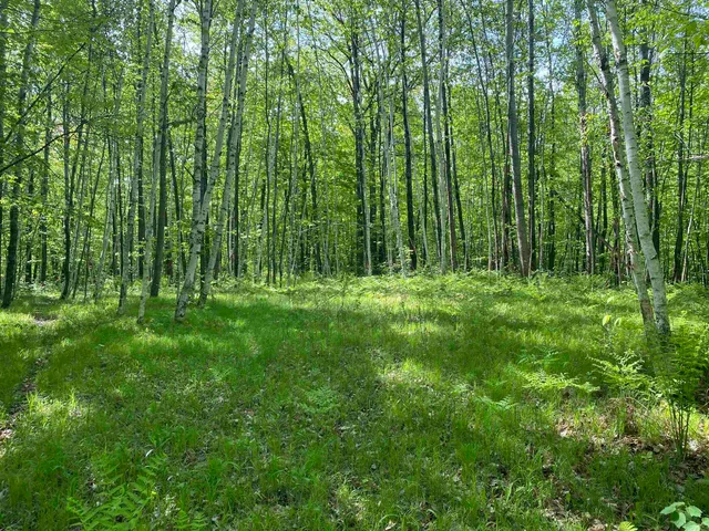 $99,900 | 16245 Highway 27, Hayward, WI 54843