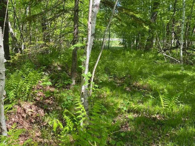 $99,900 | 16245 Highway 27, Hayward, WI 54843