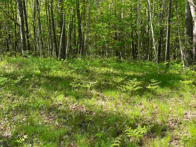 $99,900 | 16245 Highway 27, Hayward, WI 54843