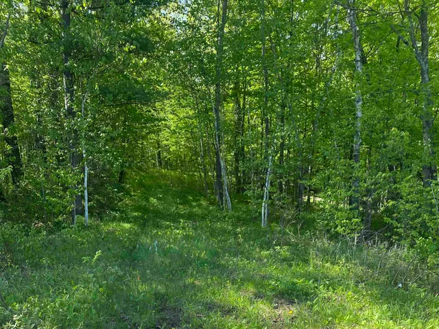 $99,900 | 16245 Highway 27, Hayward, WI 54843