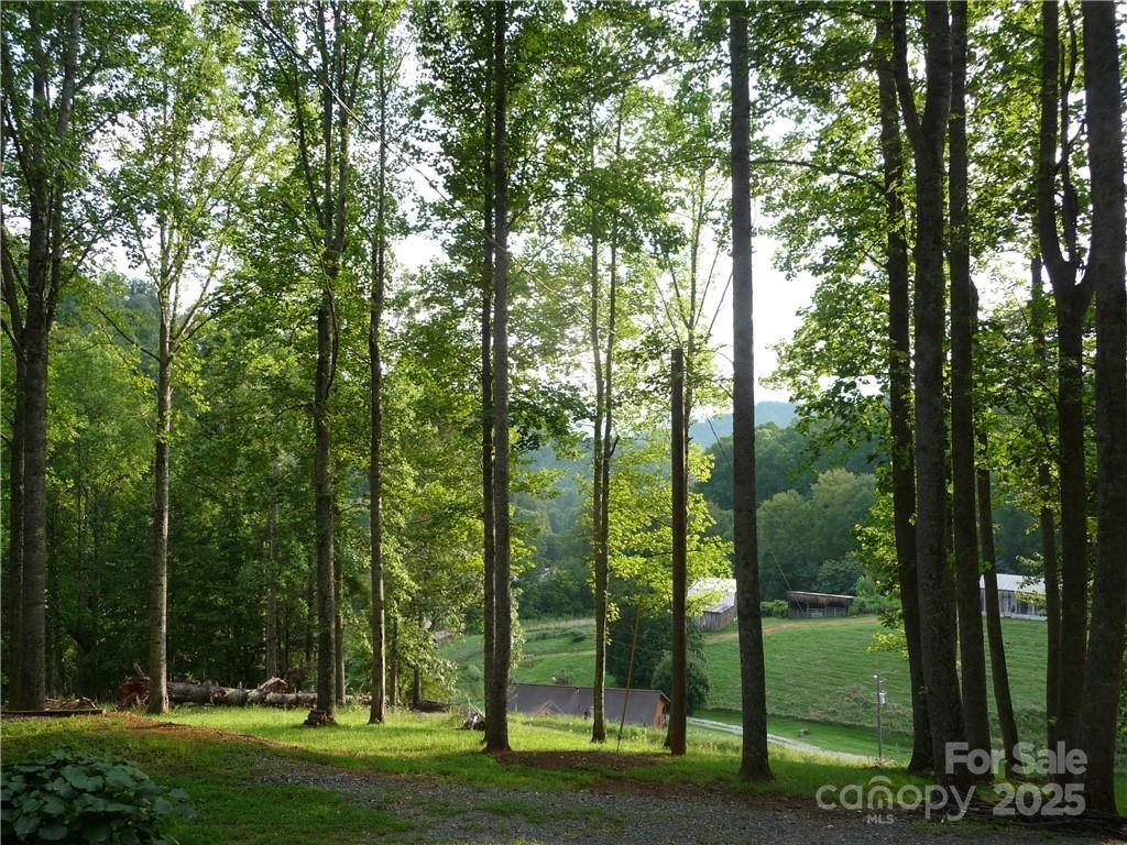 0 Joe Shoemaker Road Vilas, NC 28692 - Photo 1 of 21
