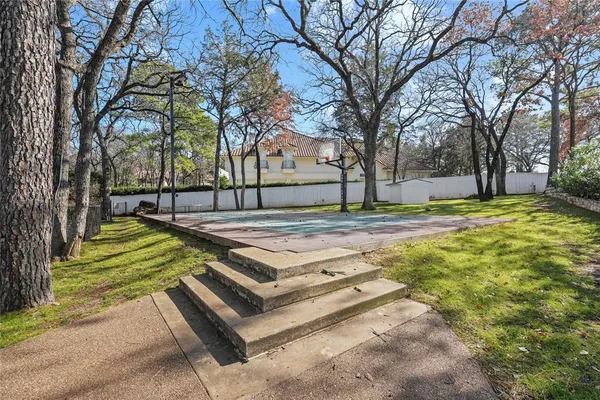 a view of a yard with a tree