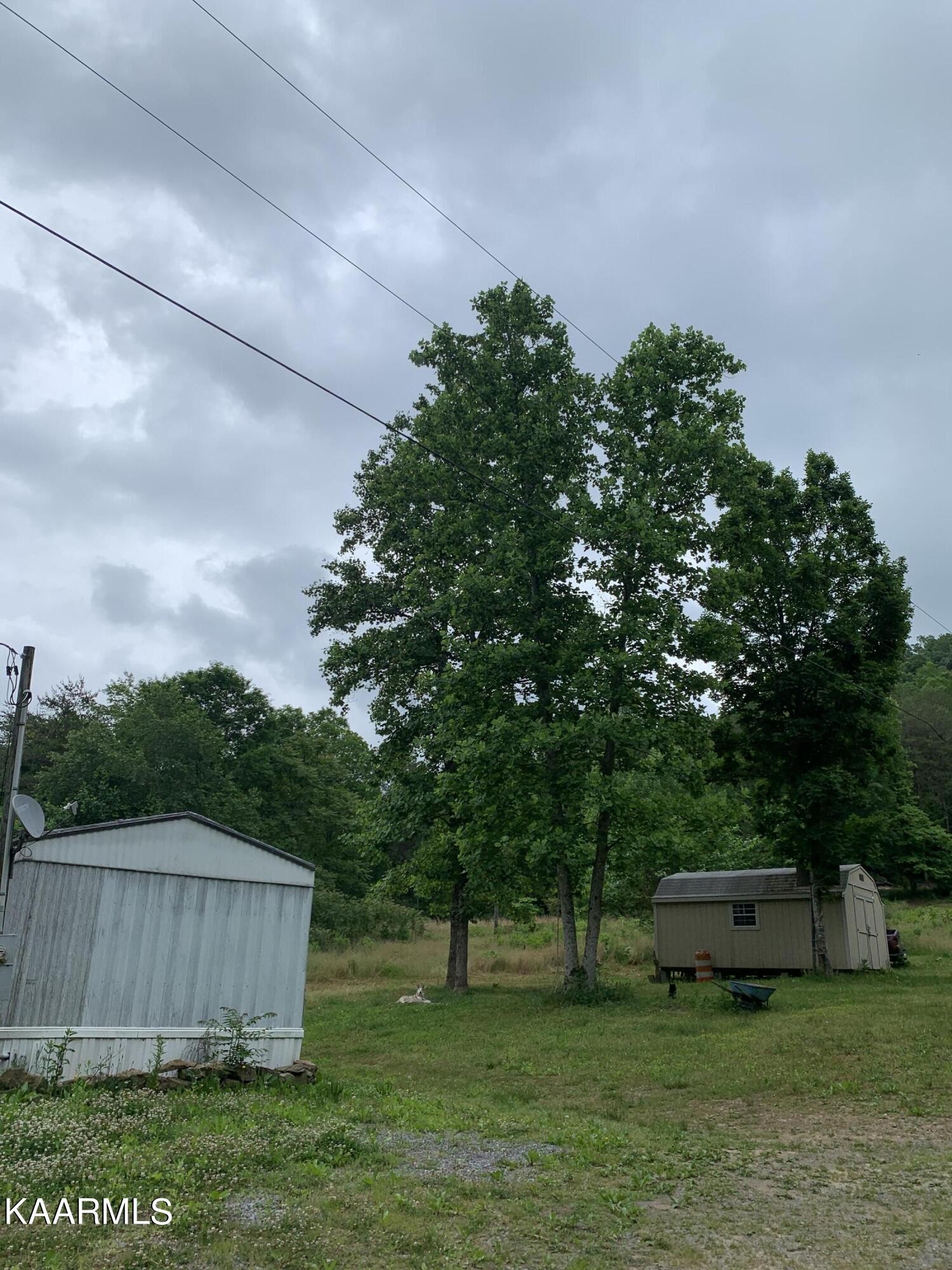 1971 Steve Brown Road Bean Station, TN 37708 - Photo 10 of 15 Gallery Image 10