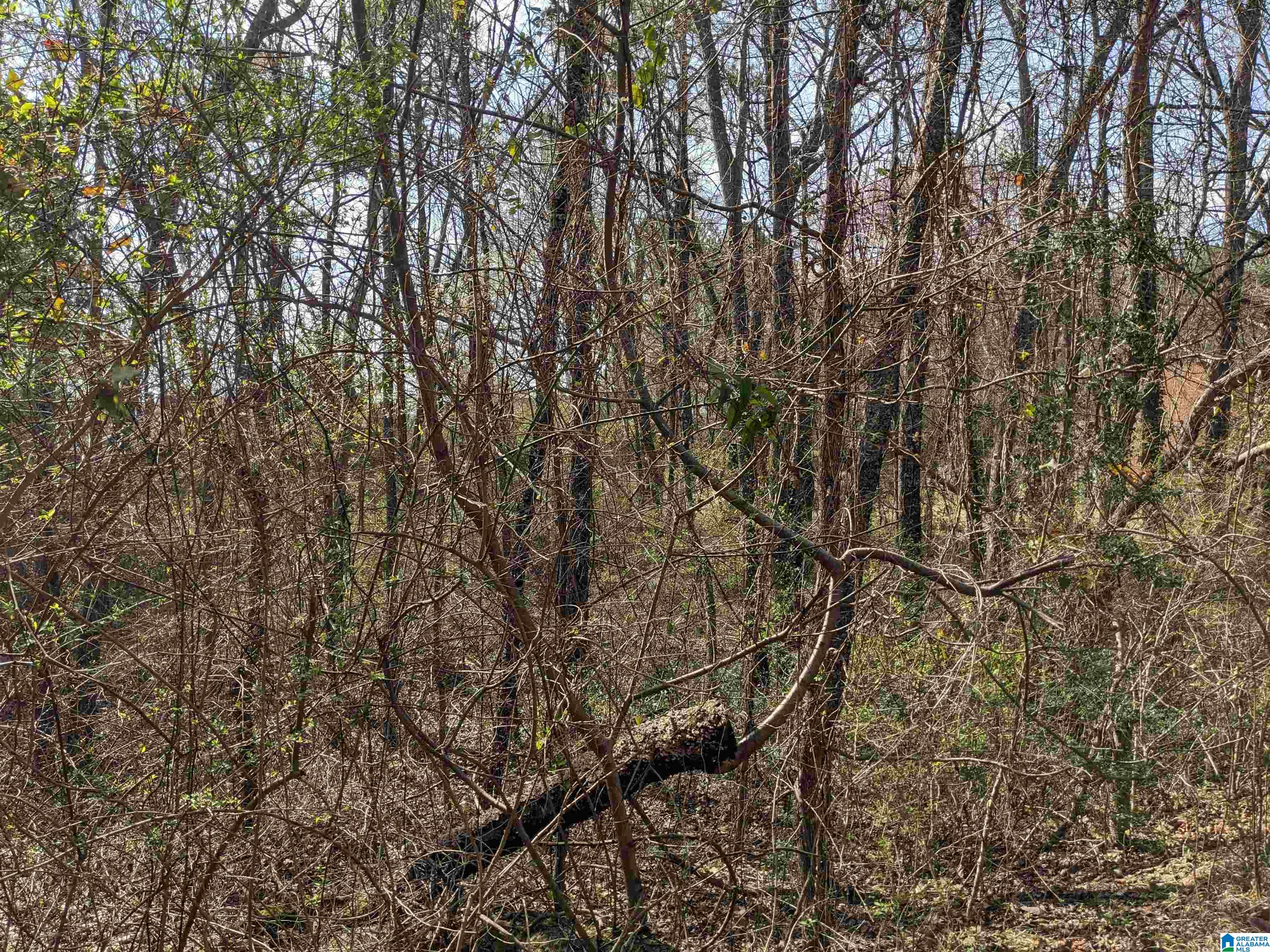 0 Hathaway Heights Road, Unit 2 & 3 Anniston, AL 36207 - Photo 18 of 30