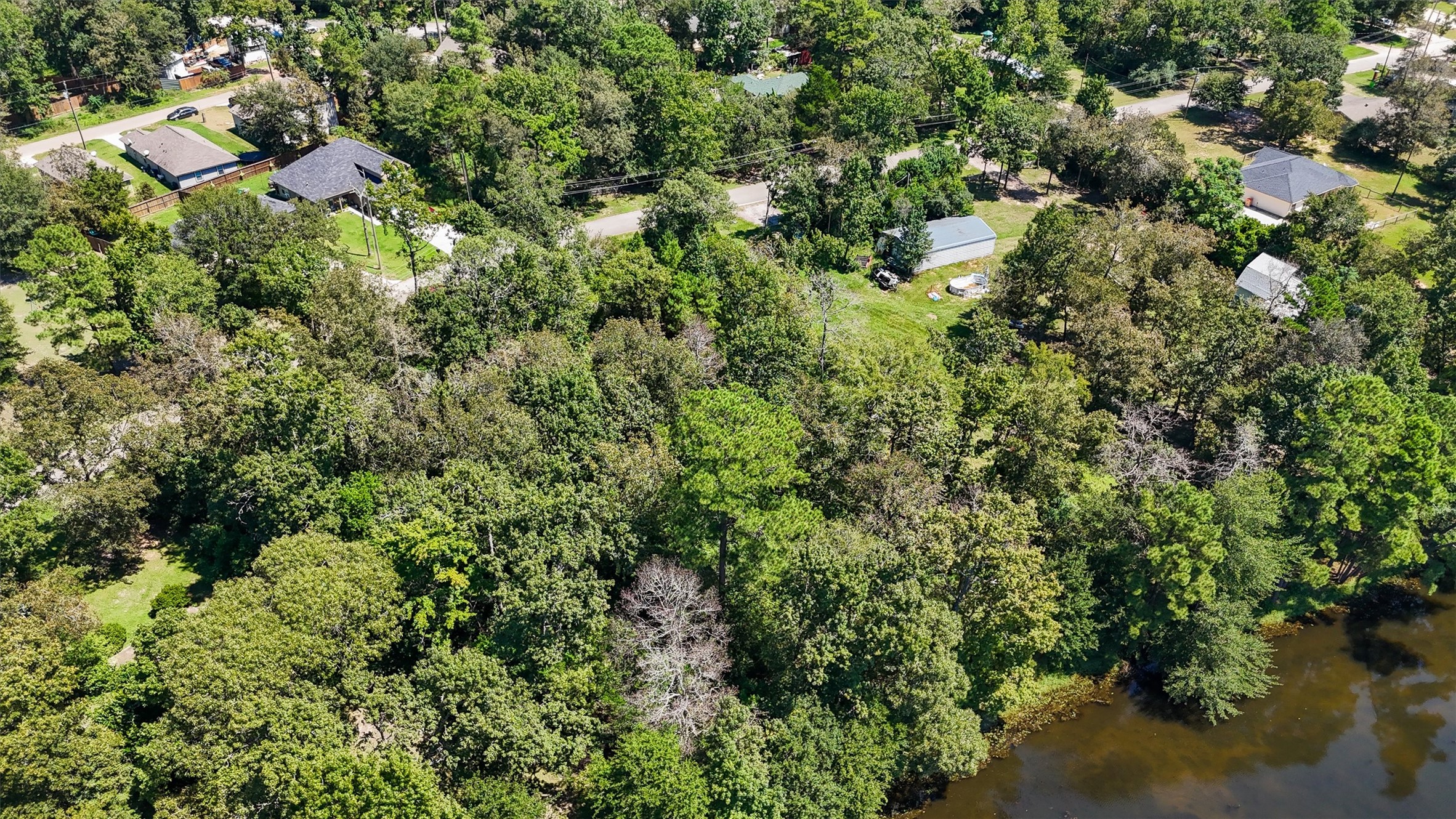 3816 Sam Houston Road Houston, TX 77002 - Photo 6 of 19 view of a house with a lush green forest