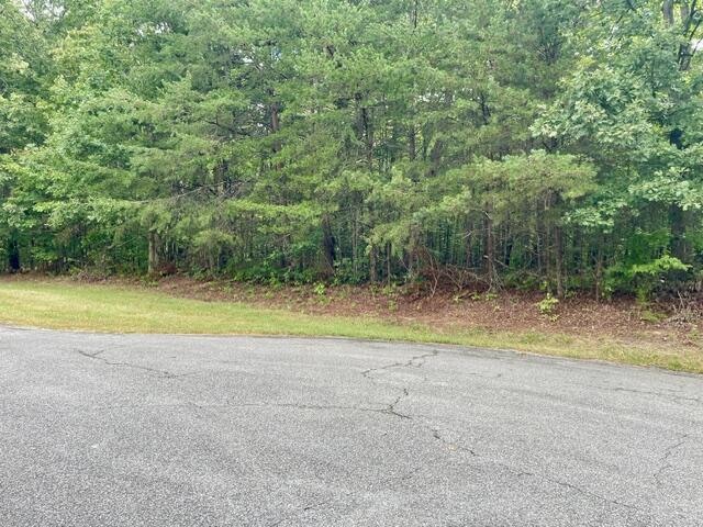 0 Stewart Lane, Unit LOT 33 Rising Fawn, GA 30738 - Photo 14 of 17 IMG_9450
