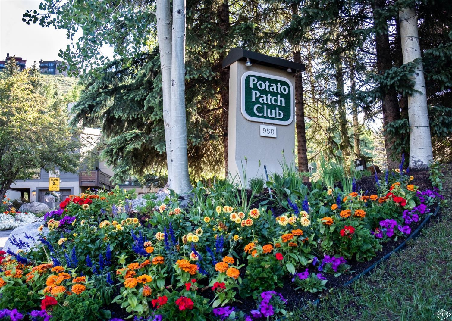 950 Red Sandstone Road, Unit 40 Vail, CO 81657 - Photo 23 of 23 a sign that is in front of flowers