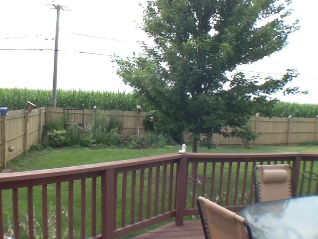 3308 River Road Kankakee, IL 60901 - Photo 16 of 20
