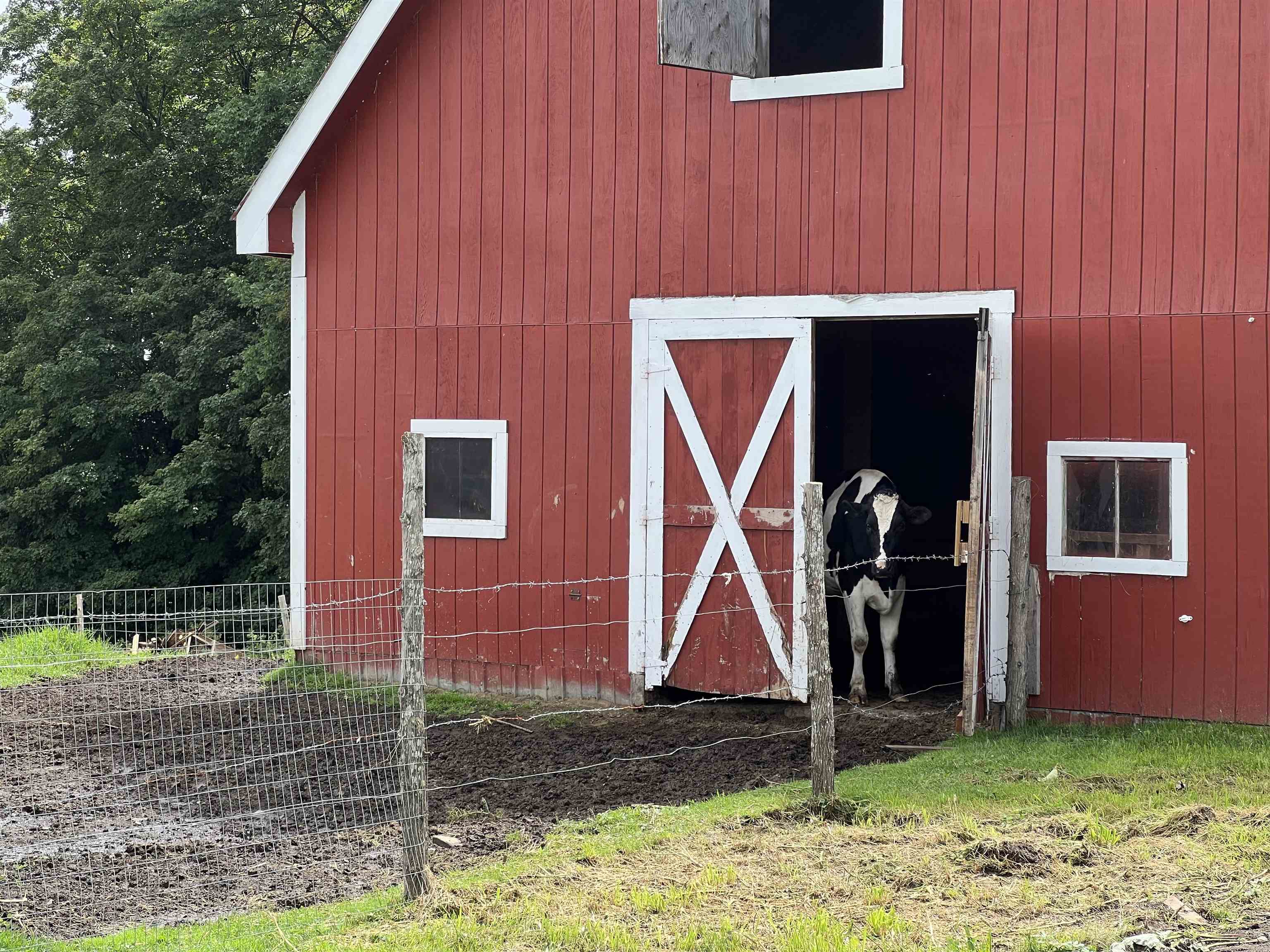 306 King George Farm Road Sutton, VT 05867 - Photo 23 of 24 Gallery Image 23