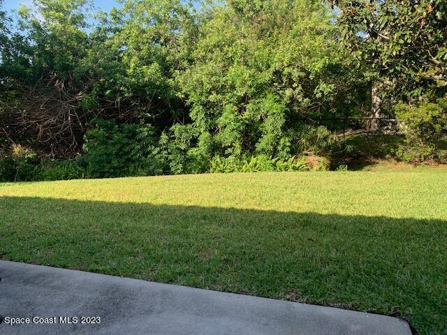 568 Renaissance Avenue Melbourne, FL 32940 - Photo 39 of 47 rear yard 2