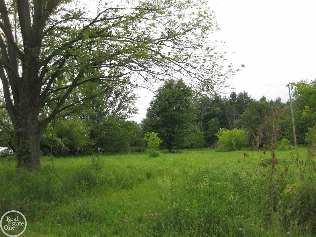 1845 Goodells Road Goodells, MI 48027 - Photo 8 of 11
