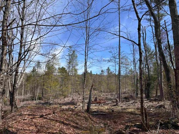 $159,000 | M409-l66 Old Turnpike Road, Richmond, NH 03470