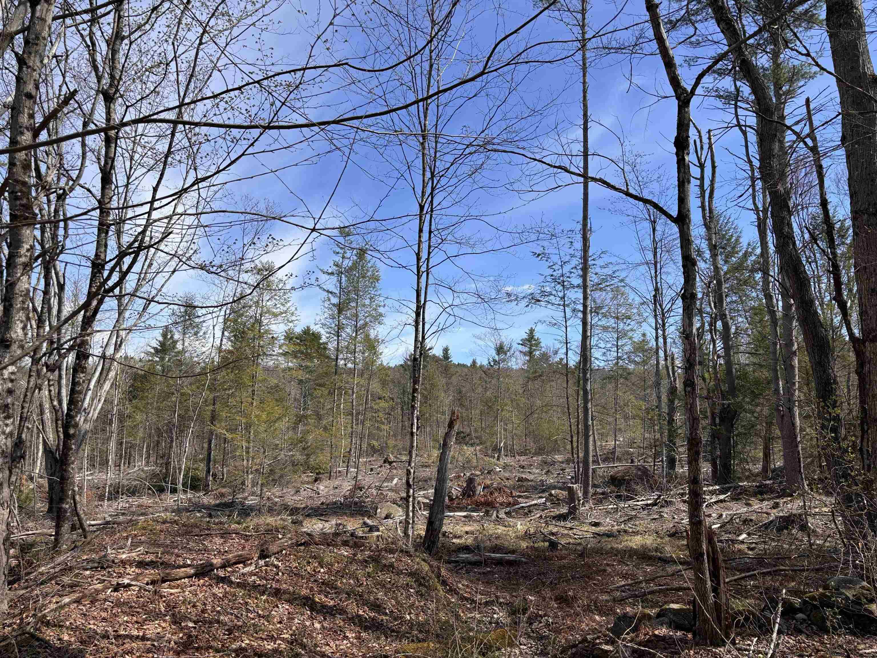 M409-l66 Old Turnpike Road Richmond, NH 03470 - Photo 1 of 13