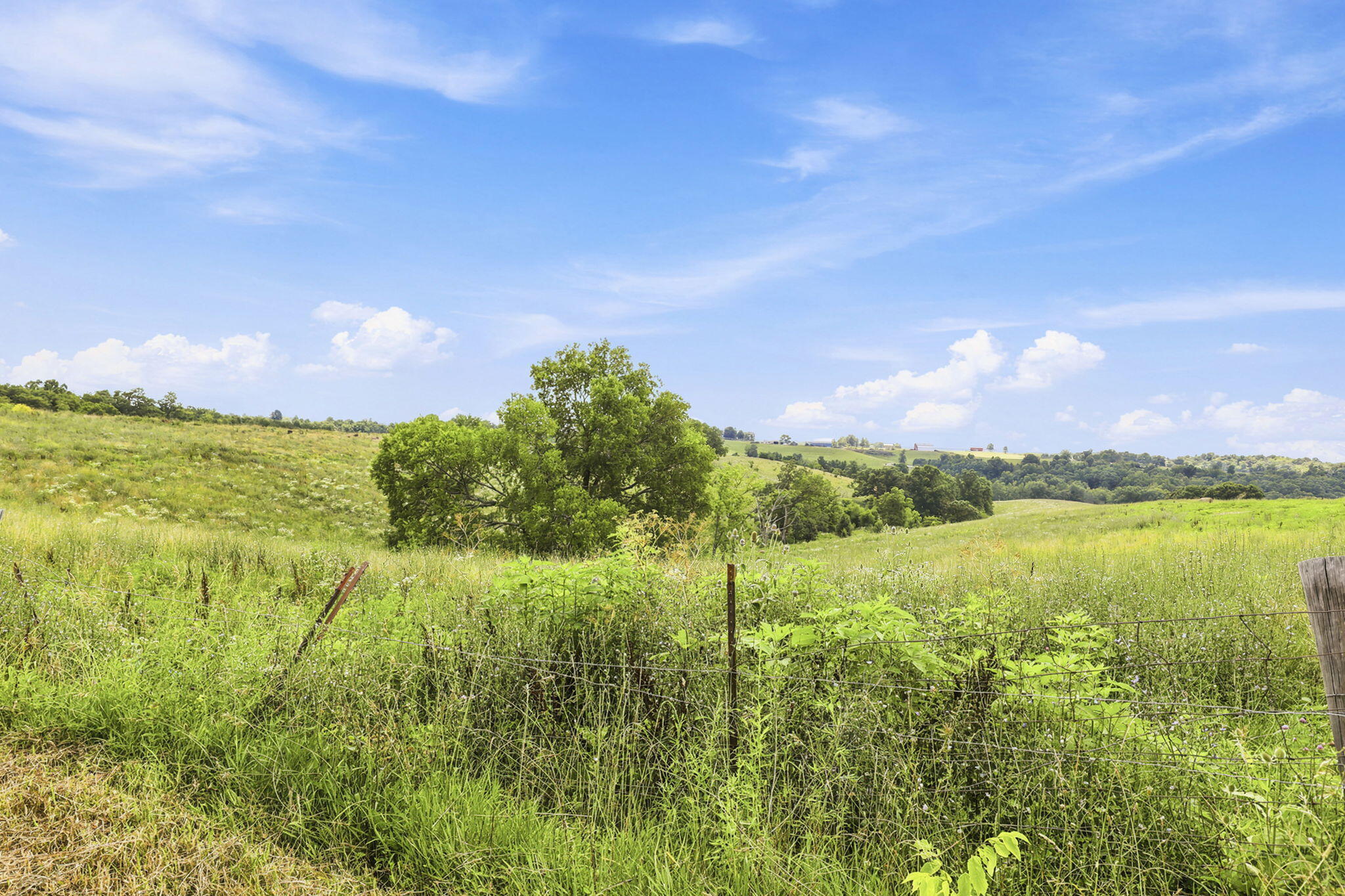 525 Chipman Ridge Road Williamstown, KY 41097 - Photo 44 of 49 50-web-or-mls-50-print-_B6A0711