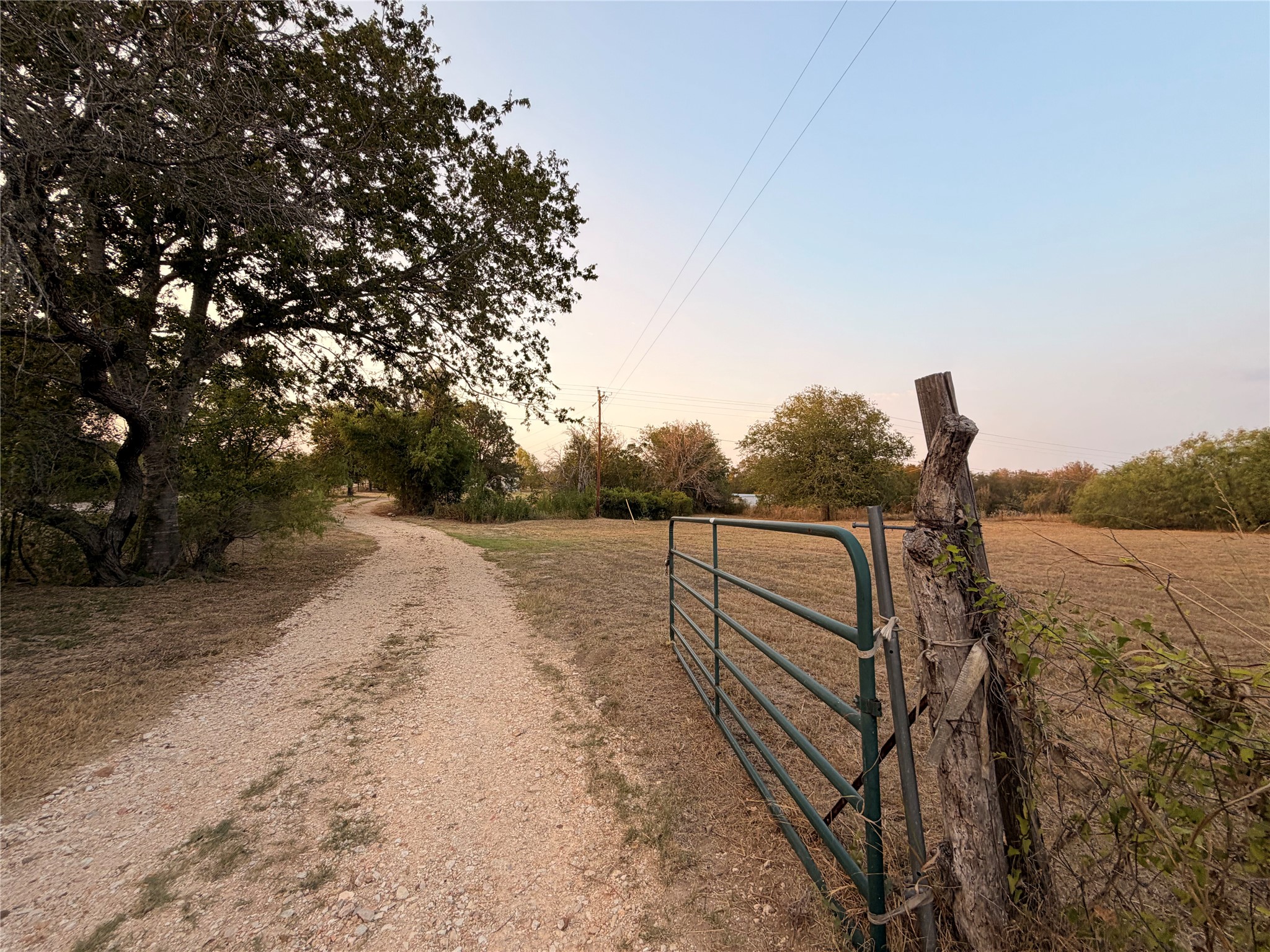 206 Shiloh Road Bastrop, TX 78602 - Photo 7 of 10 Mature trees line a gravel driveway leading past a rustic gated entry.