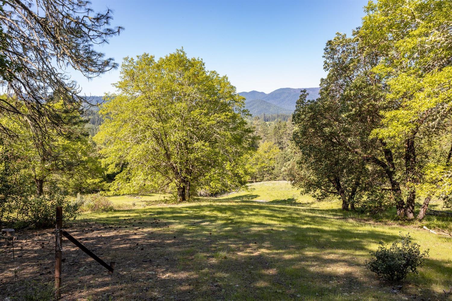 Tl100 Lower River Road Grants Pass, OR 97526 - Photo 21 of 35 a view of yard with large trees