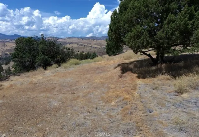 a view of a city with lots of trees