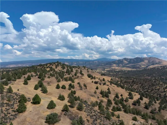 a view of lot of trees and yard