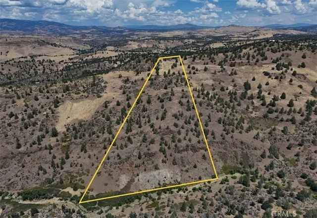a view of a bench in the middle of a forest