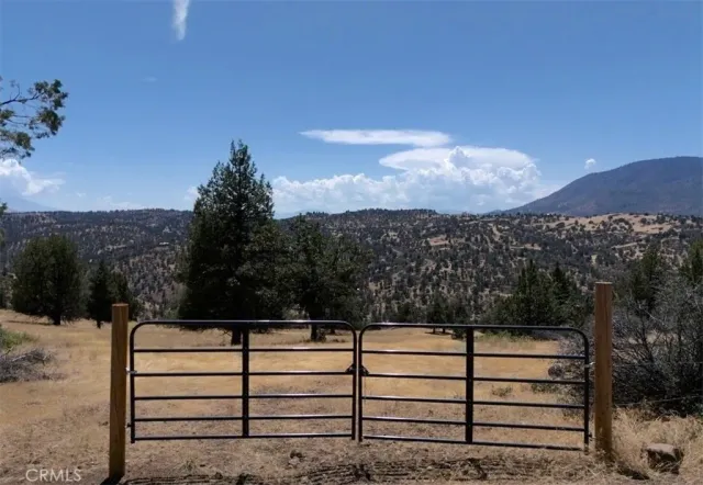 a view of a city with tall trees