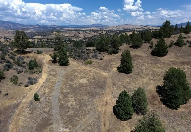 a view of a yard in a yard