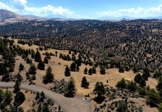 a view of a backyard of a house