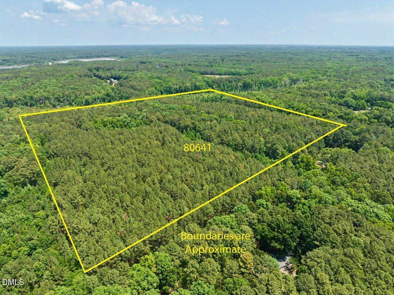 Lot 2 Clyde Farrell Road Apex, NC 27523 - Photo 4 of 28