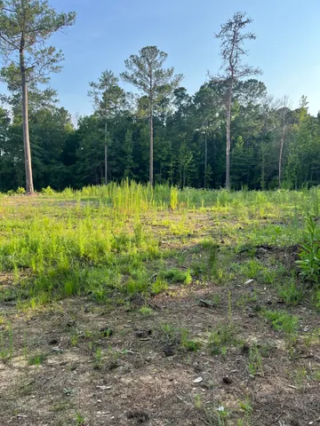 $35,000 | 3171 Queensway Way, Orangeburg, SC 29118