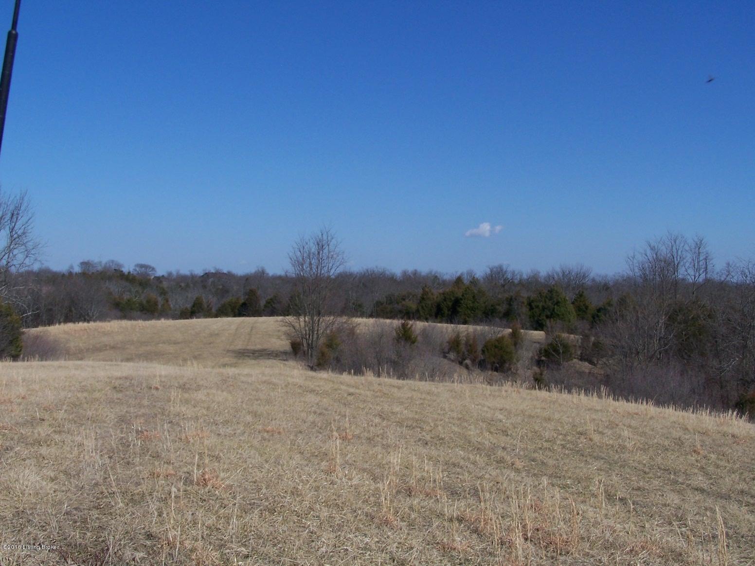 0 Dripping Springs Road Carrollton, KY 41008 - Photo 22 of 41 February 2016 082