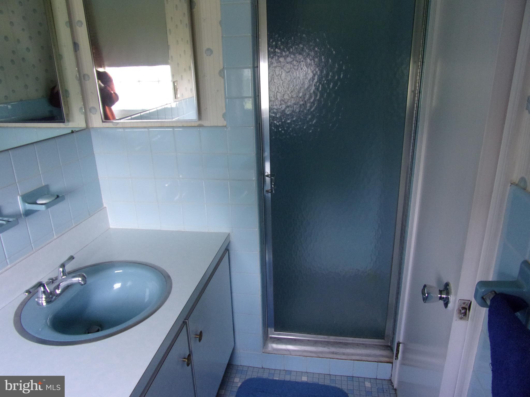 806 West Rolling Road Springfield, PA 19064 - Photo 27 of 39 Master Shower Bath