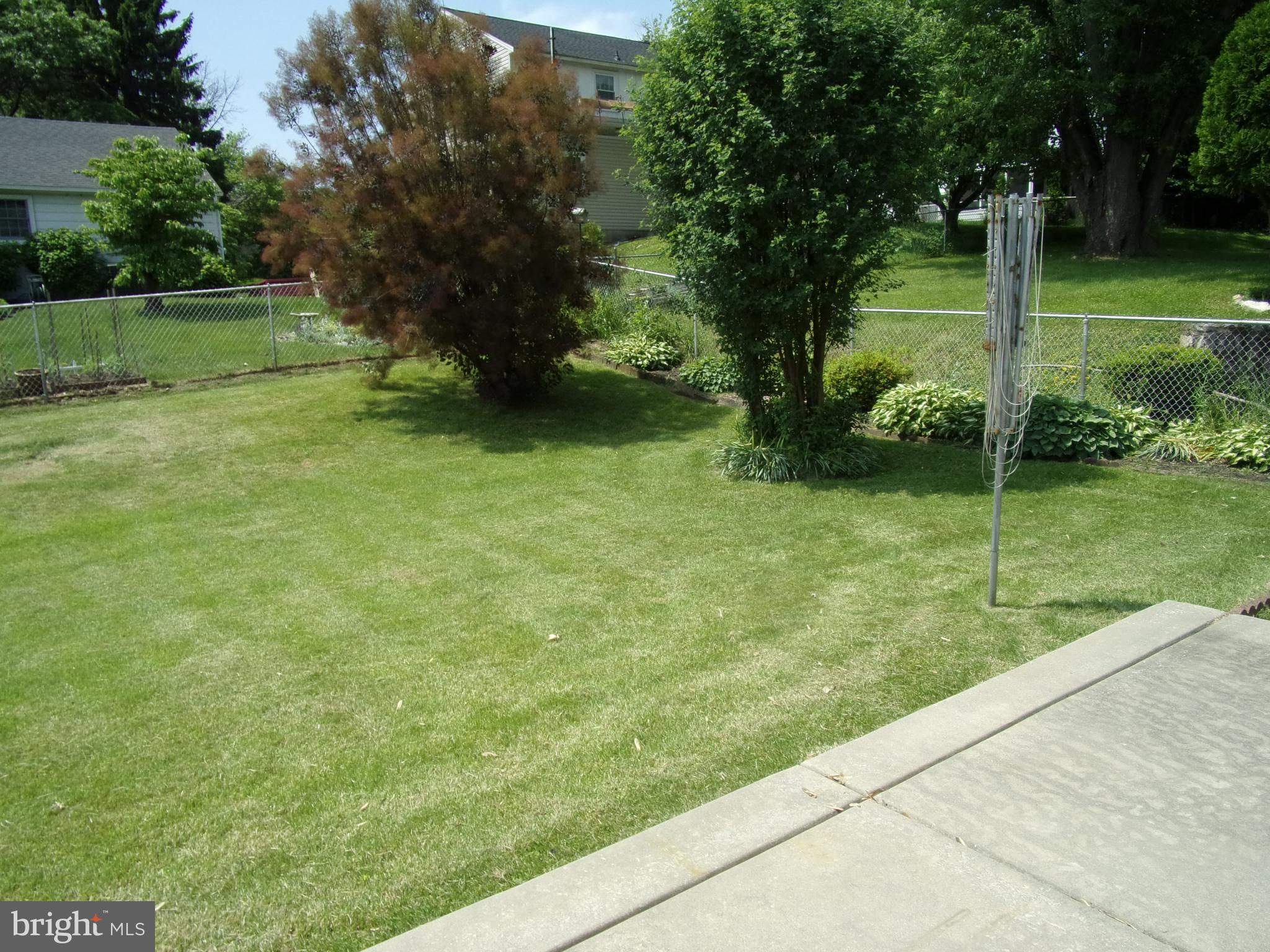Rear yard view from patio