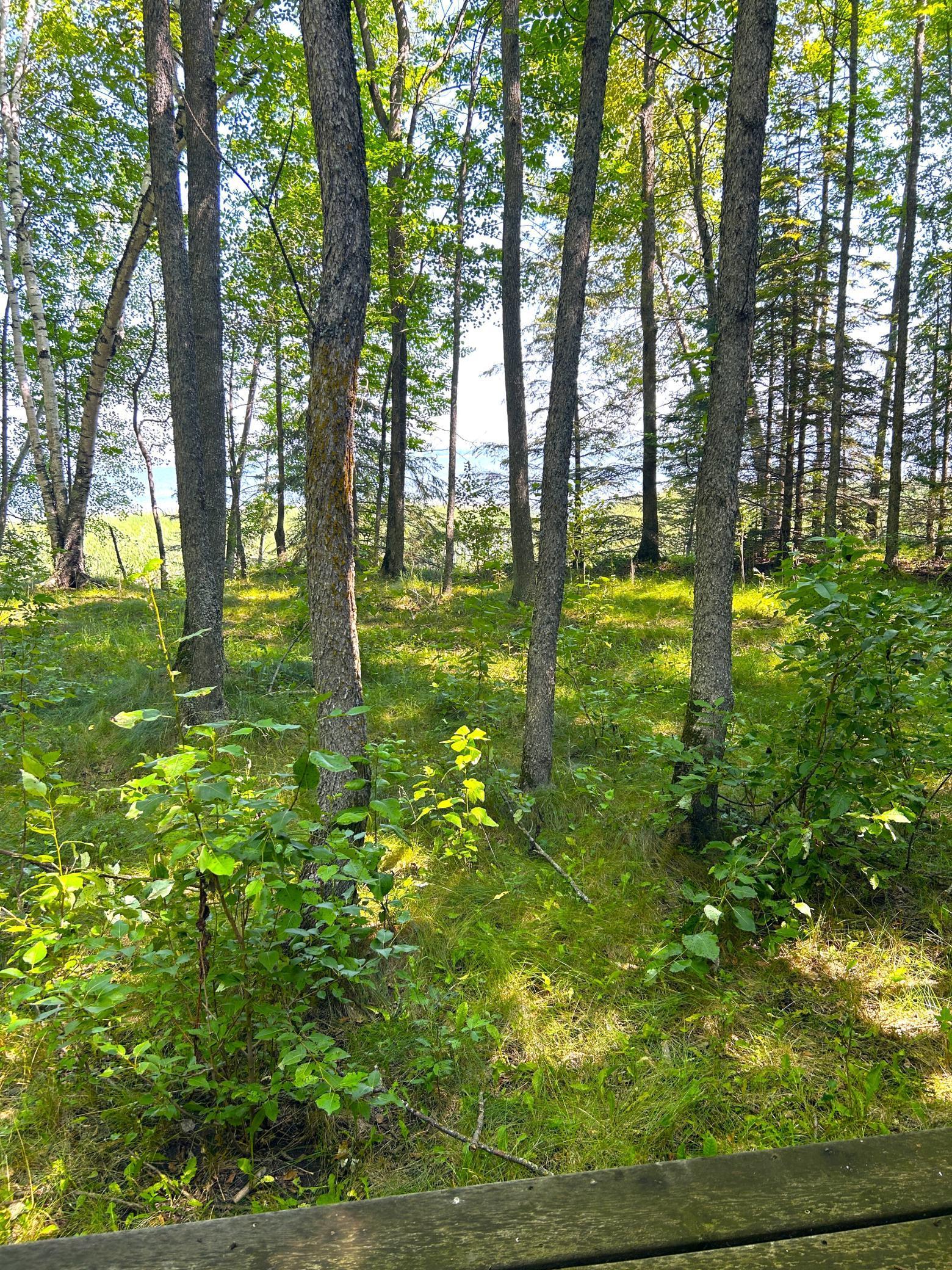 16779 Angle Shoreline Angle Inlet, MN 56711 - Photo 28 of 53